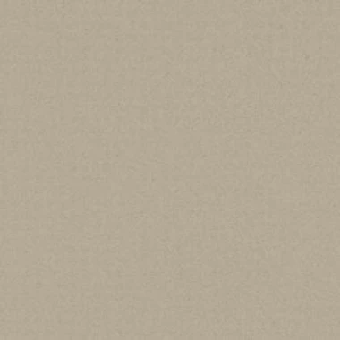 Champagne Grey Anodized