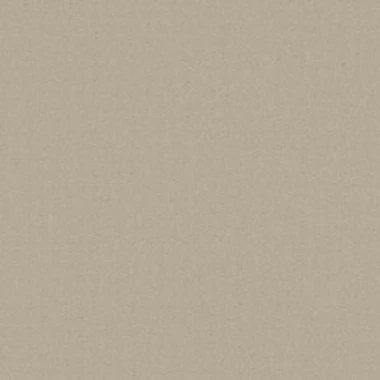 Champagne Grey Anodized